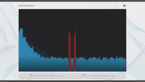 Hearing Simulation Graph