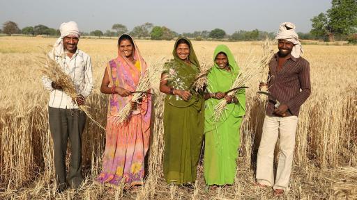 People standing in a wheat field