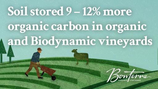 Illustrated farm image that says "Soil stored 9-12% more organic carbon in organic and Biodynamic vineyards."