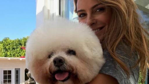 Maria Menounos and her dog Benjamin