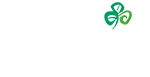 Tourism Ireland logo