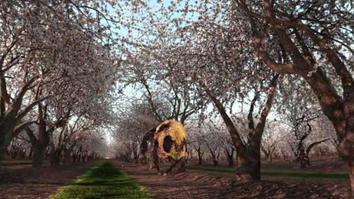 H&auml;agen-Dazs&rsquo;s &ldquo;The Extraordinary Honey Bee&rdquo; Video