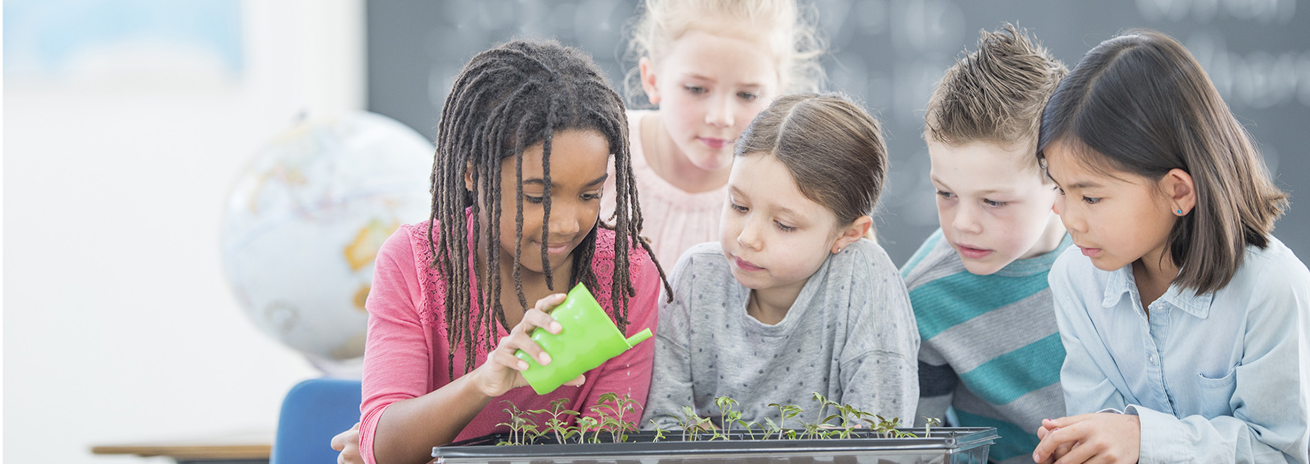 Kids in a classroom, watering some seedlings.