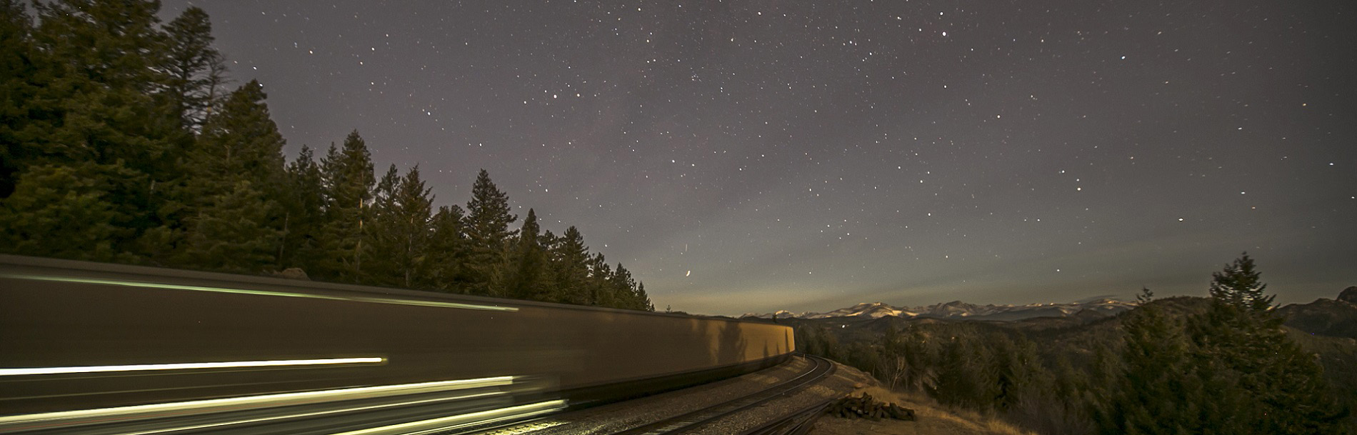 Image of a train traveling through a national park at night with trees.