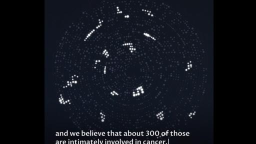 See how Christine Bray battled her rare ovarian cancer and the role genomic testing played.