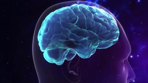 Video of no music role of the brain