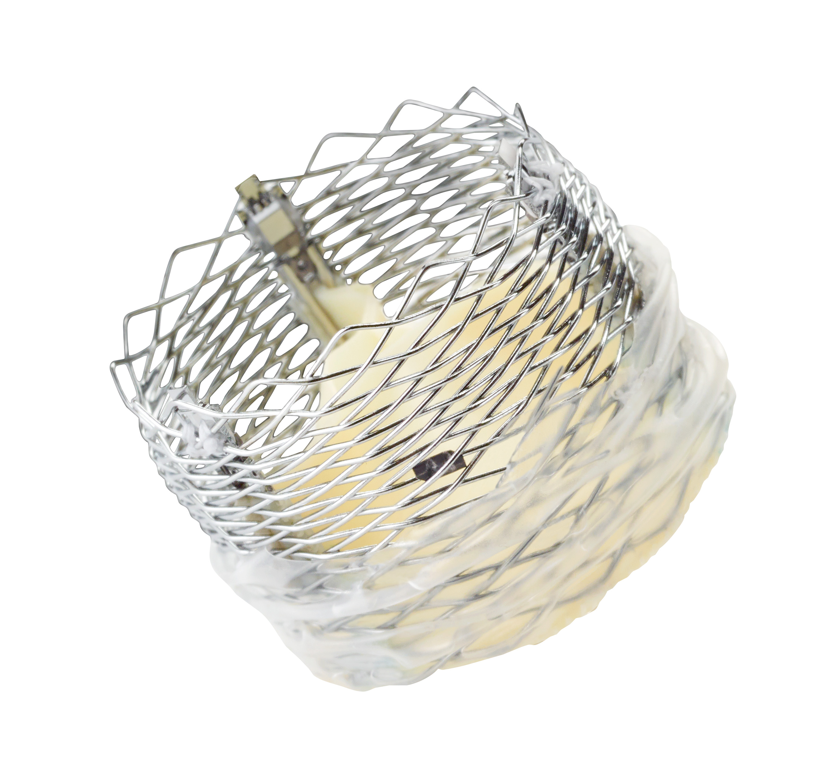 Transcatheter Heart Valve Replacement