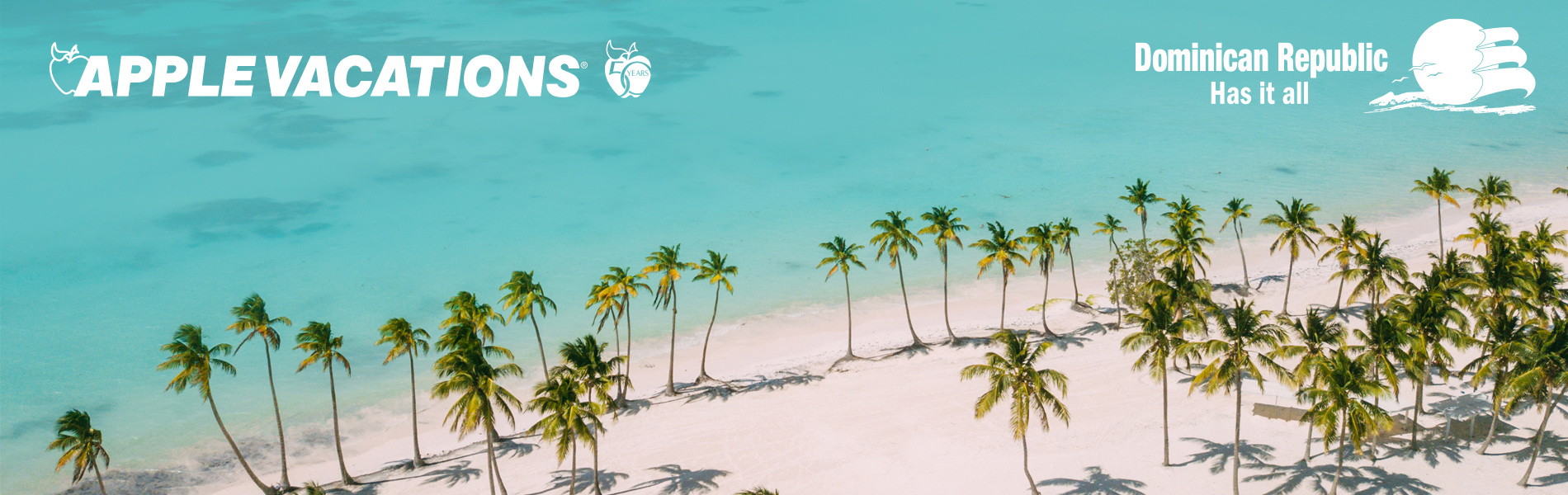 Palm trees on a beach
