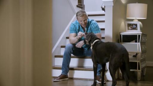 60 second video of TV personality Sean Lowe with his dog