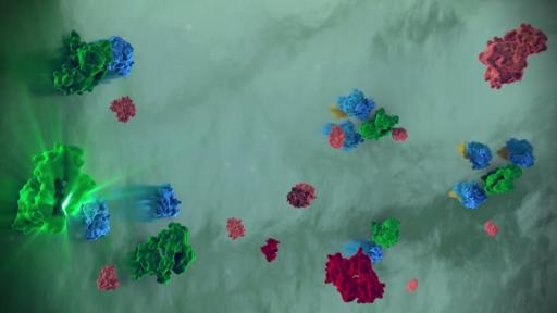 LUCEMYRA™ Mechanism of Action