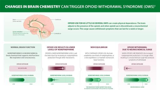 Science Visualization Infographic