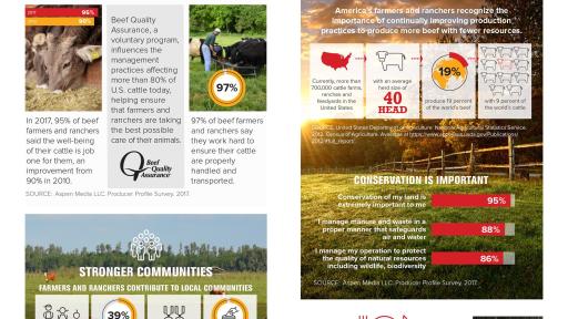 Infographic of Cattlemen’s Stewardship Review: Executive Summary 2017