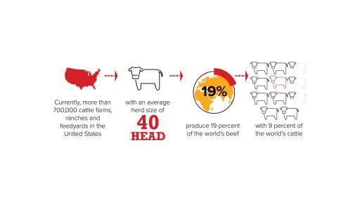 19% of the world's beef produced by 700,000 cattle farms, ranches, and feedyards in the United States