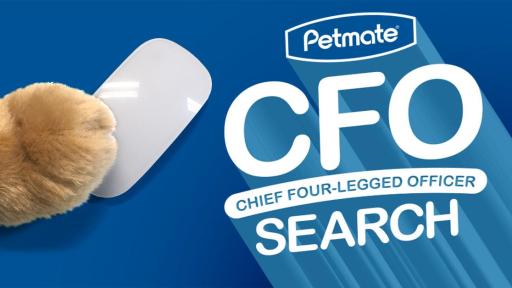 Dogpaw on a mouse against a blue background.