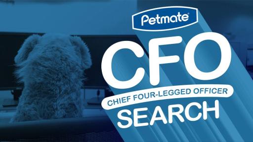 Ad with a dog staring at a computer screen with the Petmate CFO Search logo.