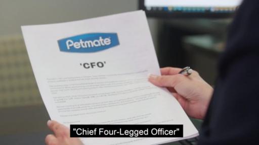 Play the office video