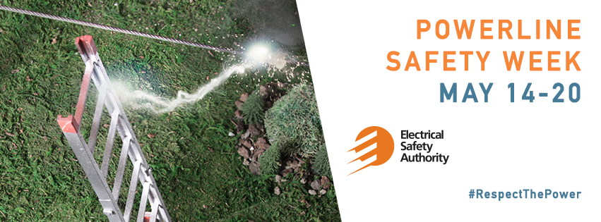 Electrical Safety Authority logo