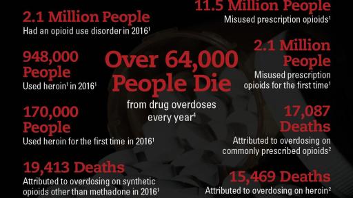 By the Numbers infographic