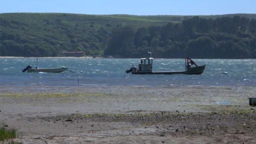 Brian Phillips, advanced sommelier for The Capital Grille®, introduces the wines of Duckhorn.