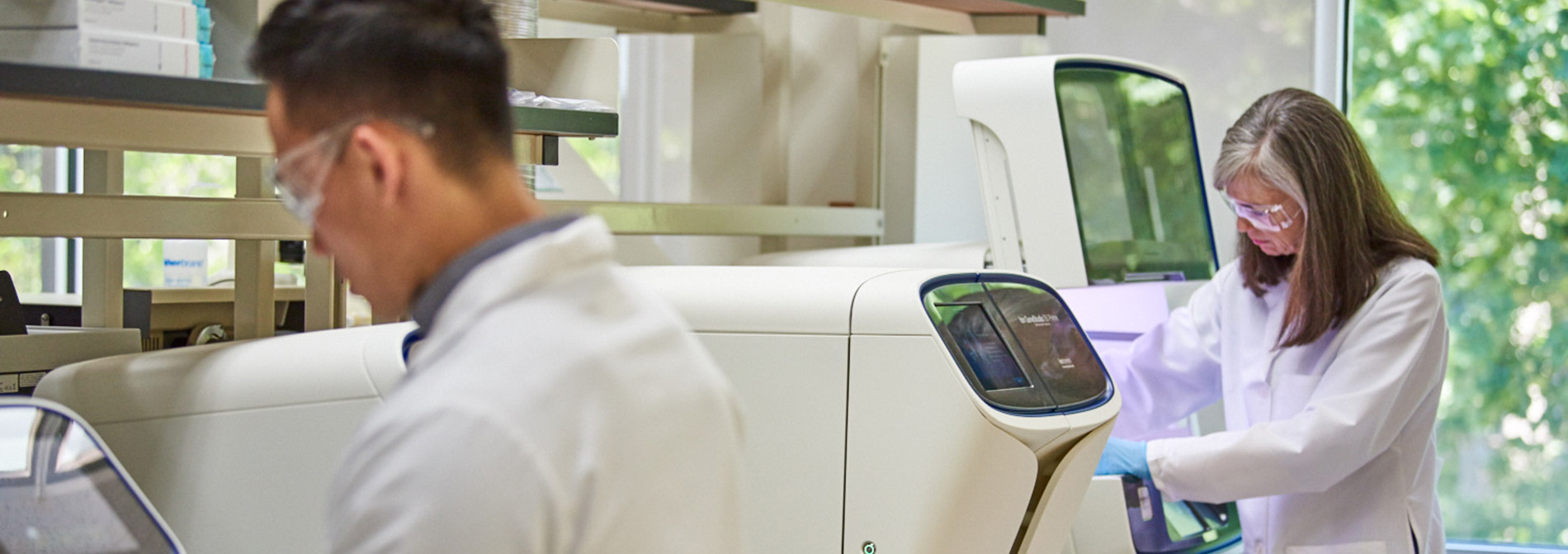 Two scientists working in a lab