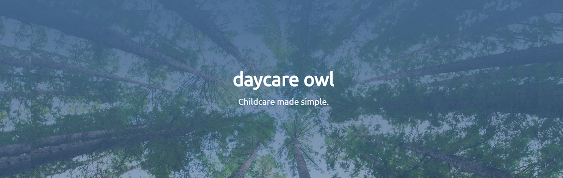 Daycare Owl Hero