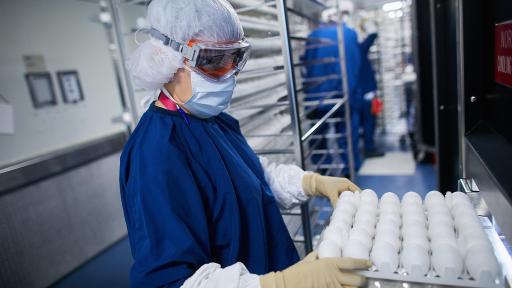 Next comes the harvest. Virus-containing fluid is drawn from the eggs. The fluid is filtered to capture the flu viruses, which are inactivated (killed). Since it takes approximately one egg to produce one vaccine, Sanofi Pasteur’s Swiftwater campus receives nearly one million eggs each day during the production season.