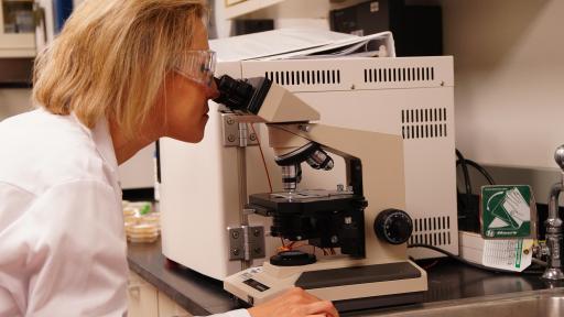 In addition to egg-based vaccines, Sanofi Pasteur is now offering Flublok® Quadrivalent (Influenza Vaccine), which is manufactured using an egg-free recombinant DNA technology. This process produces an exact genetic match to the binding proteins found on the surface of the flu virus. It starts by isolating the hemagglutinin (HA) protein from the selected FDA virus strains. The HA protein, which induces an immune response in people, is transcribed into a DNA sequence.