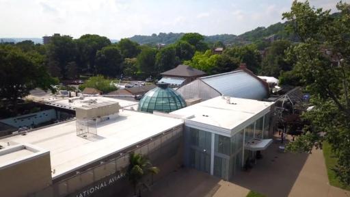 Pittsburgh National Aviary