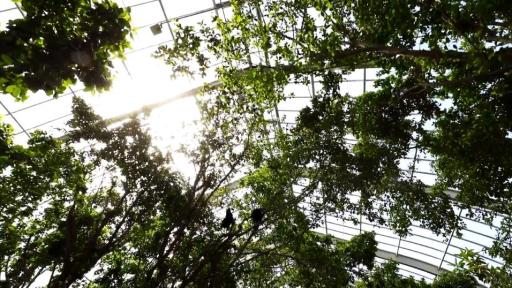 Pittsburgh National Aviary