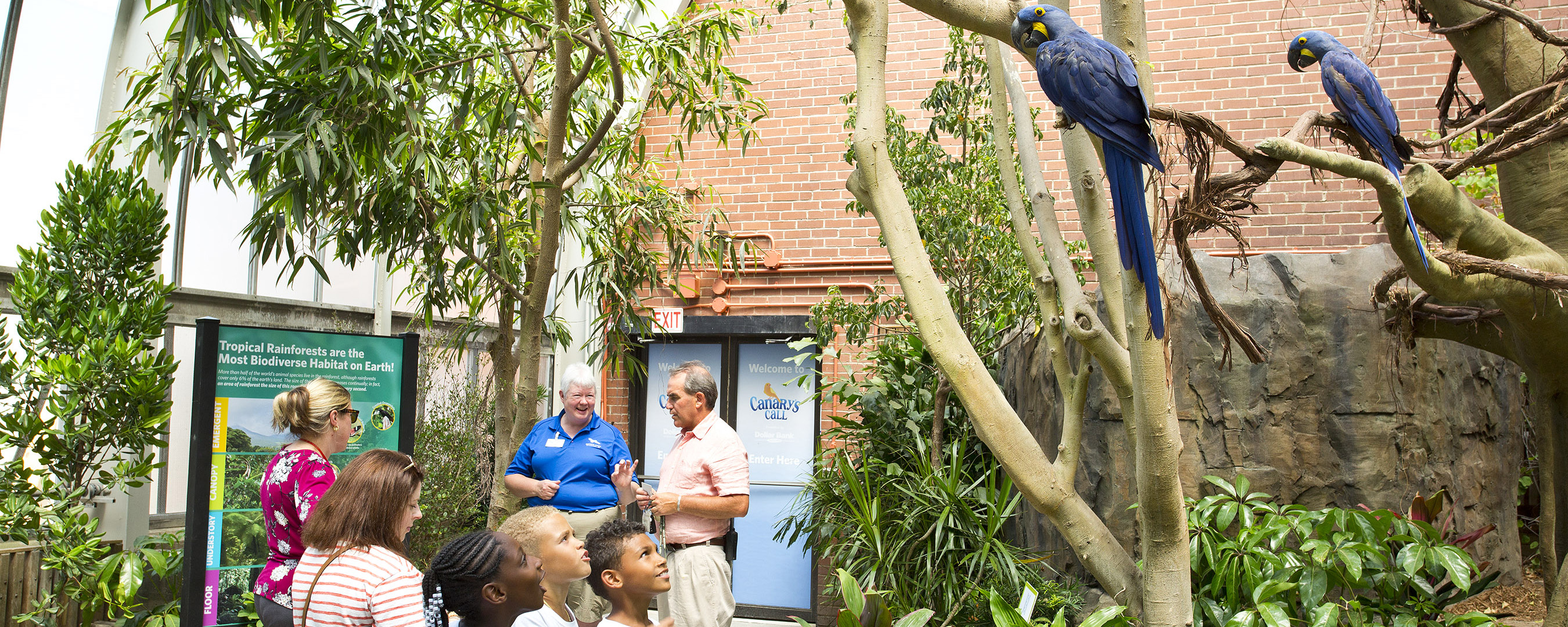 Children looking up at birds in a tree.