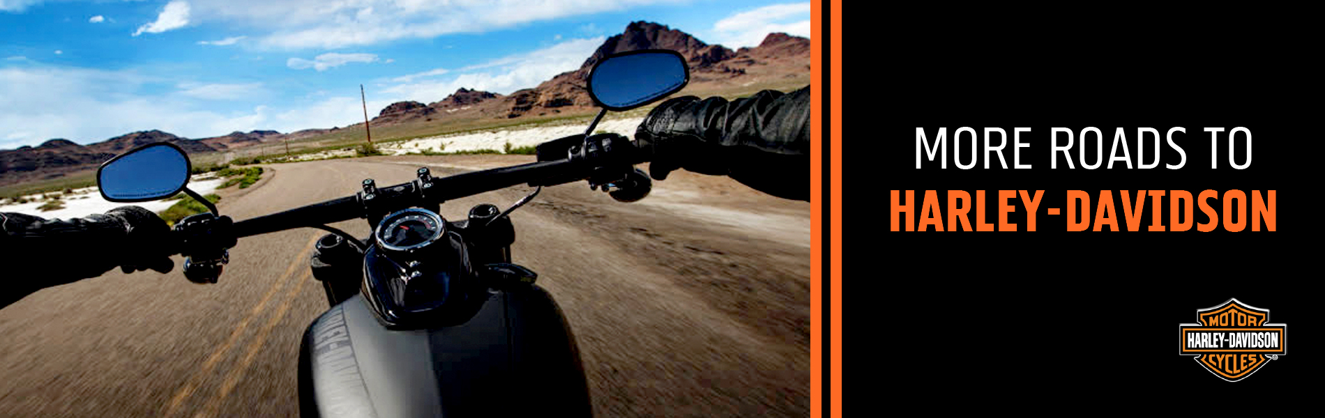 Harley Hero Future Custom