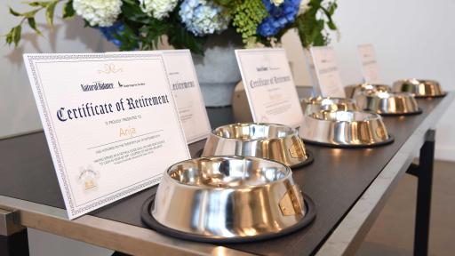 Dog Bowls & Certificates