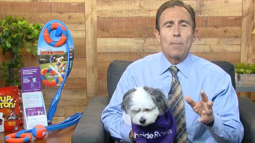 Dr. Jeff Werber talking about cold weather hazards and his top fall pet-care tips