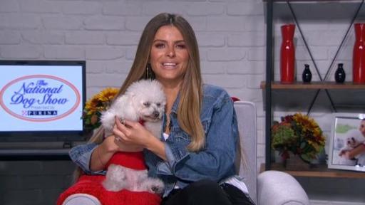 Pet owners are encouraged to share a personal message about why they are thankful for their pet on Facebook, Twitter or Instagram using the hashtag #DogThanking and tagging @Purina. For every unique post submitted between November 9-25 that includes @Purina and #DogThanking, Purina will donate $1 (up to $25,000) to Tony La Russa’s ARF. ARF is a non-profit organization founded by Major League Baseball Hall of Fame manager, four-time World Series champion and philanthropist, Tony La Russa.