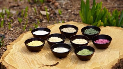 Sauces in various colors