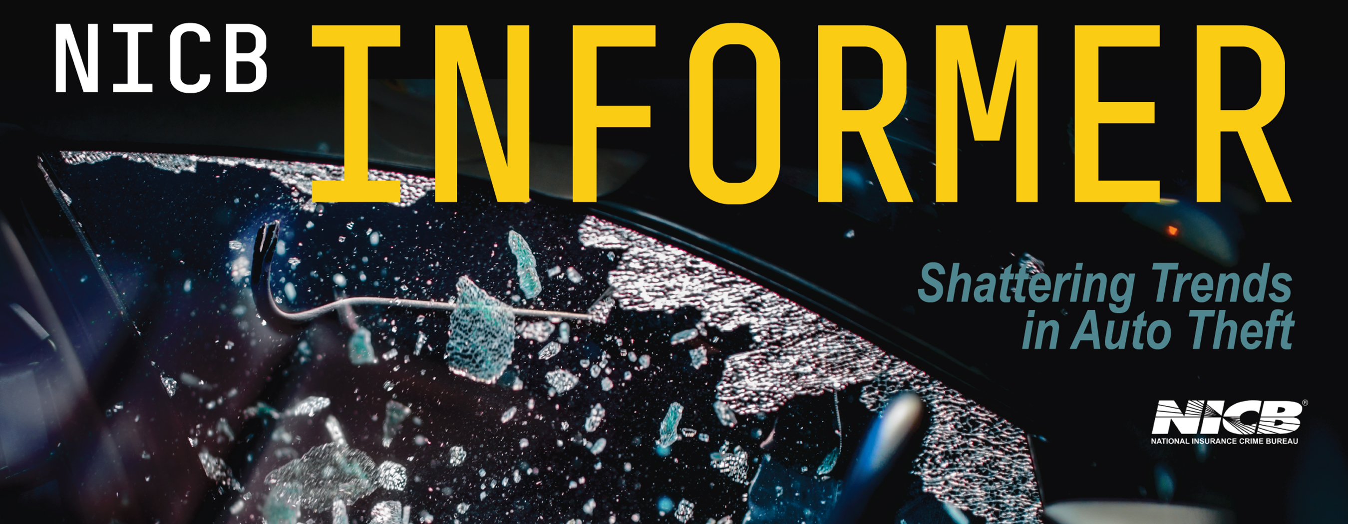 NICB Windshield banner