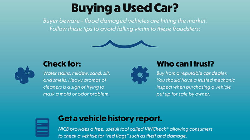 NCIB Infographic