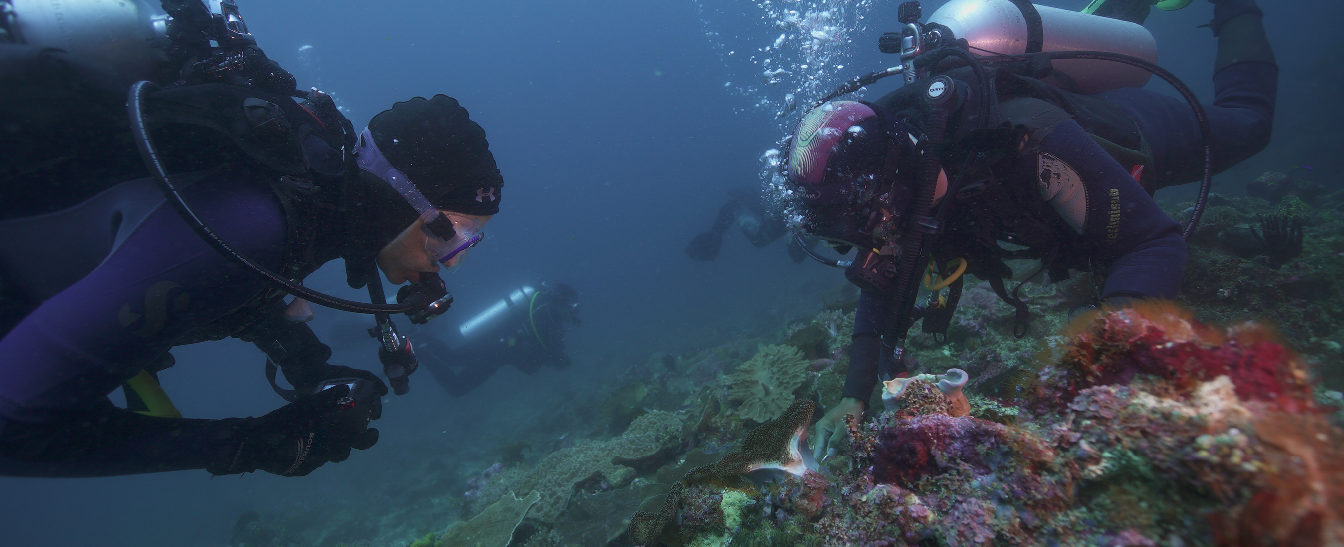 Three people scuba diving near a coral reef