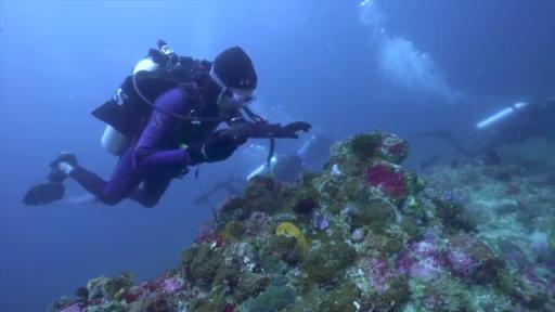 SC Johnson visits Indonesia to address plastic waste.