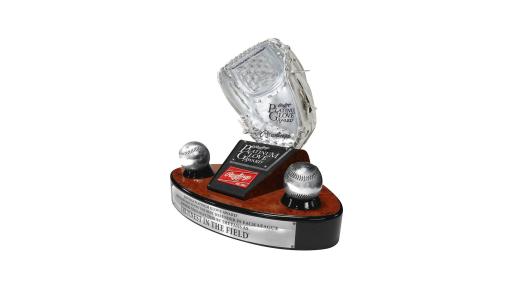Rawlings Platinum Glove Award