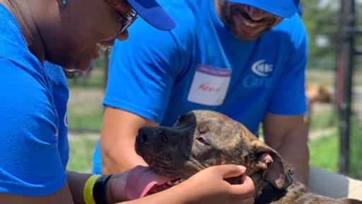 Bankers Healthcare Group Named #2 Best Workplace in New York by Great Place to Work and FORTUNE Magazine