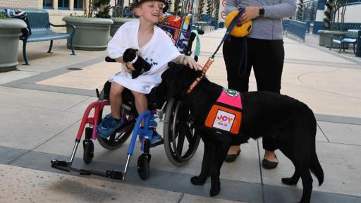 Cooper, the black lab by a happy child in a wheelchair.