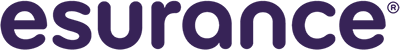 Esurance logo