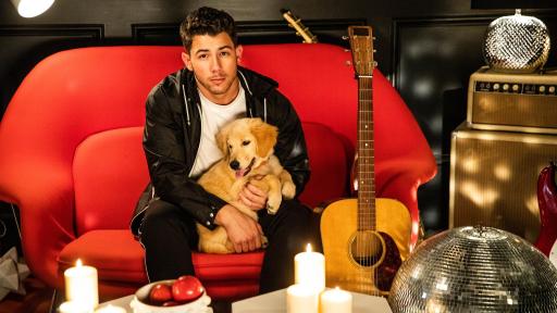 Nick Jonas holding a puppy