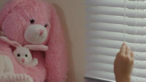 Play Video: B-roll from PSA