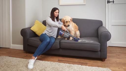 Woman vacuuming pet hair on couch with the Motorized Pet Head while her golden retriever watches.