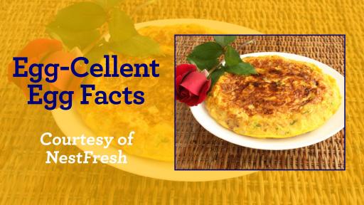 Banner image that says "Egg-Cellent Egg Facts" by and image of a quiche.