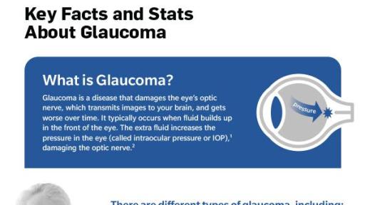 Glaucoma Fact Sheet