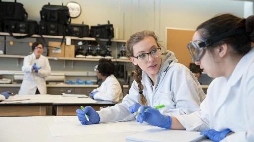 Build on your passion of science and legal investigations in GCU’s forensic science program.