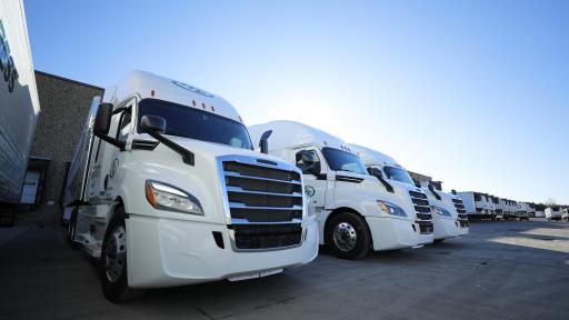 A row of 18 wheeler white cabs.